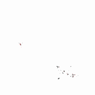 Export Image